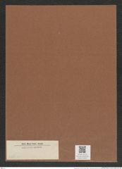 Diatomeae indet. (de-Toni-Nr.: Species 3386 ? ?) Zeichnungen Sammlung Grunow Mappe 03653 (Herbarium_W_Grunow_drawings_Folder_03653)